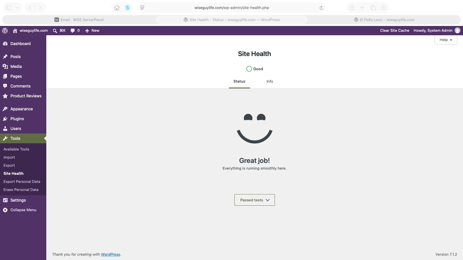 Wise Guy Life’s WordPress Site Health screen showing Good and Great job! Everything is running smoothly here.
